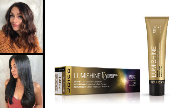 1Holiday_67-1 Brunette hair color before and after with LumiShine products used