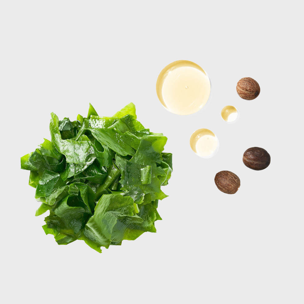 moisture recovery ingredients sea kelp jojoba oil