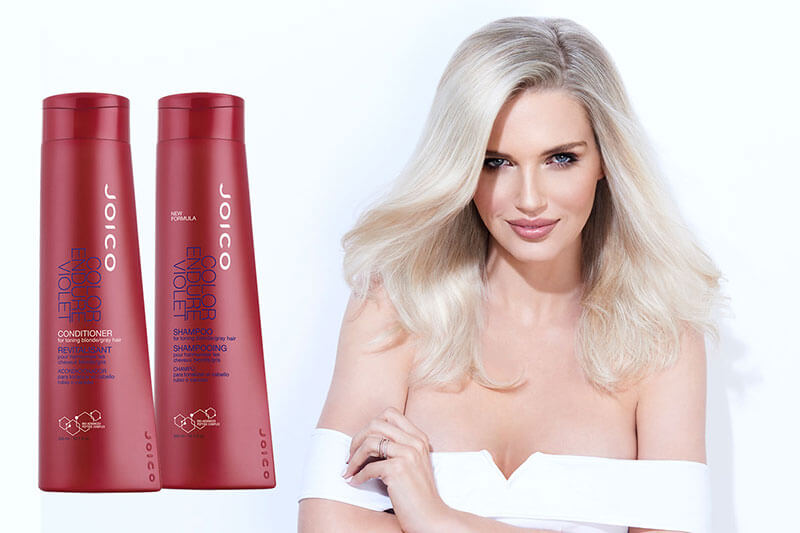 color endure violet bottles and model