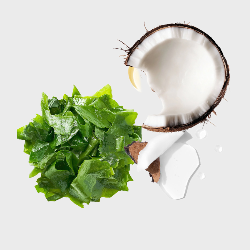 hydrasplash ingredients sea kelp and coconut water