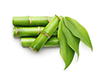 Bamboo Extract Bamboo Extract image