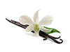Vanilla Extract image