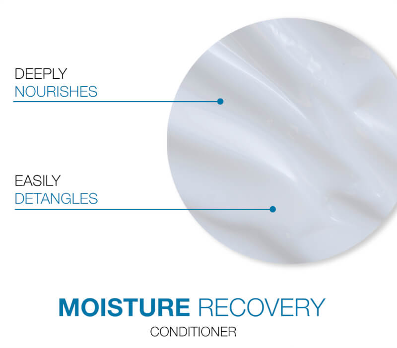 moisture recovery conditioner: deeply nourishes and easily detangles