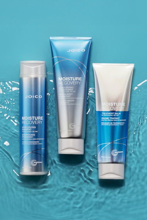 Moisture Recovery hair products