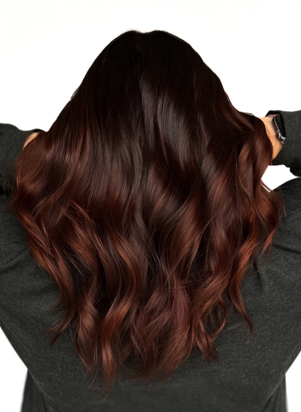 chestnut brown hair model back of head