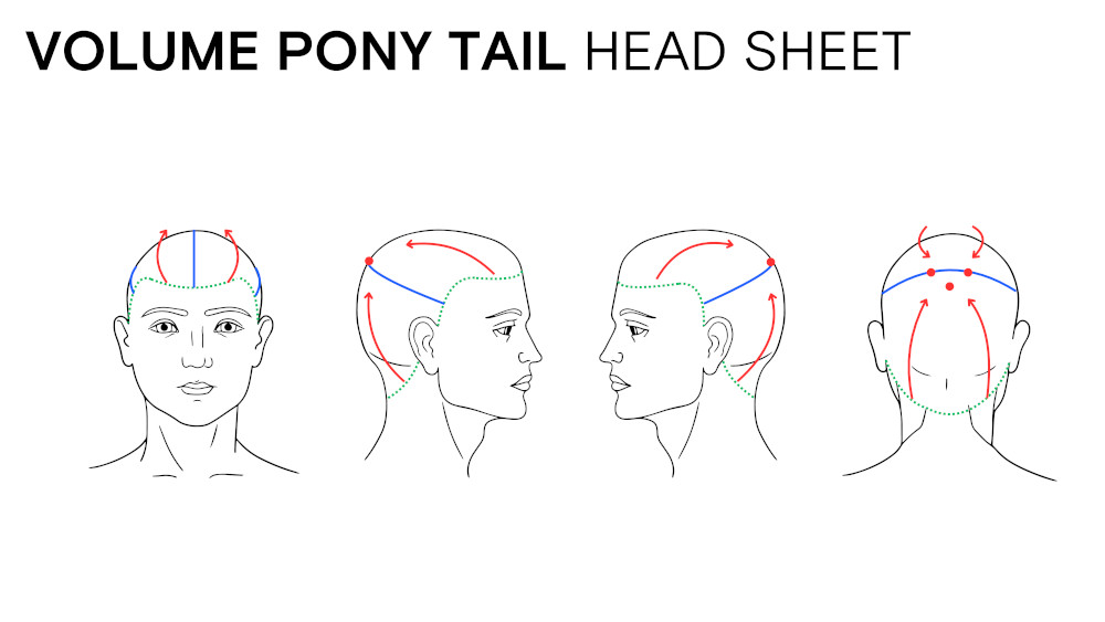 hold hero ponytail headSheet