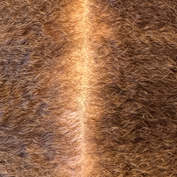 cover gray the healthy way after