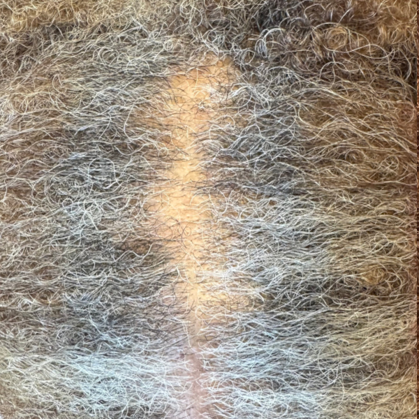 cover gray the healthy way before