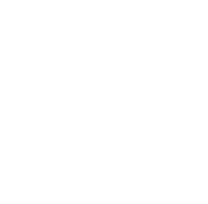 Love It or Leave It logo