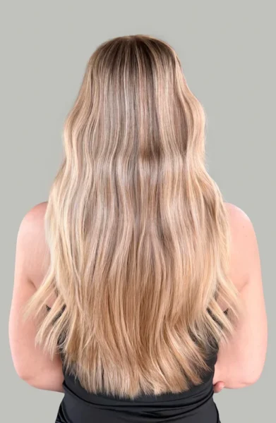 Back of woman's head with long hair and blond highlights