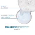 Hydrate Shampoo