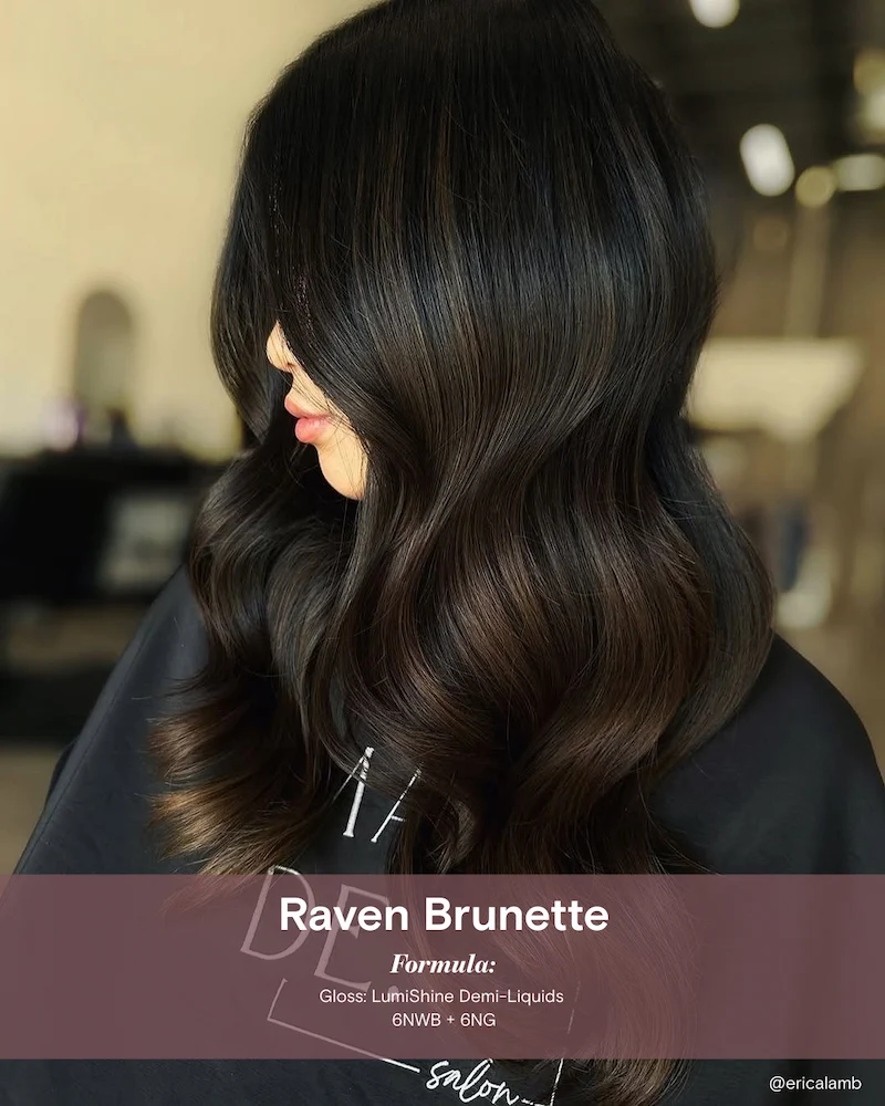 Pro color hair color - Raven Brunette