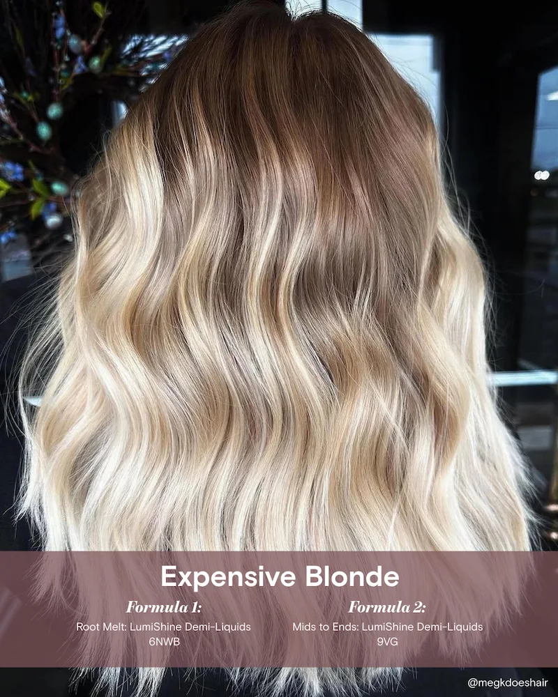 Pro color hair color - Expensive Blonde